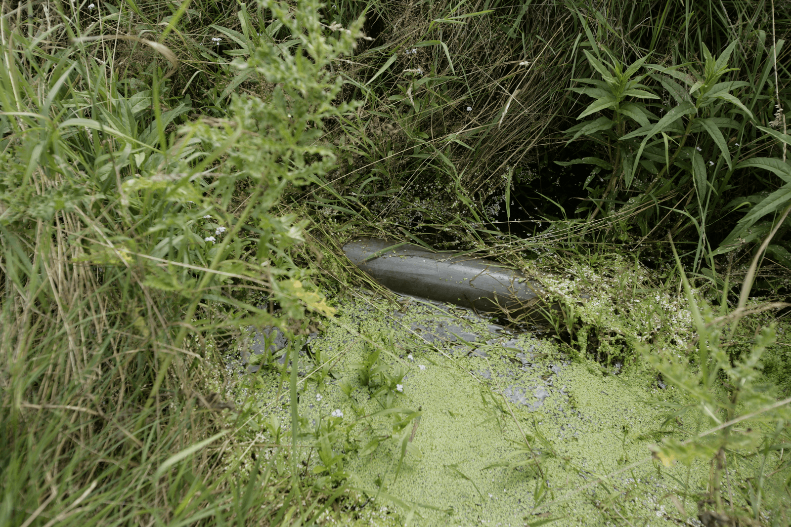 <em>Foto: Michel Zoeter</em>