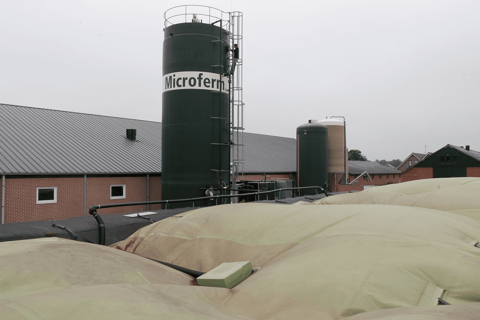 Monovergister op een kalverbedrijf.<br /><em>Foto: Ronald Hissink</em>