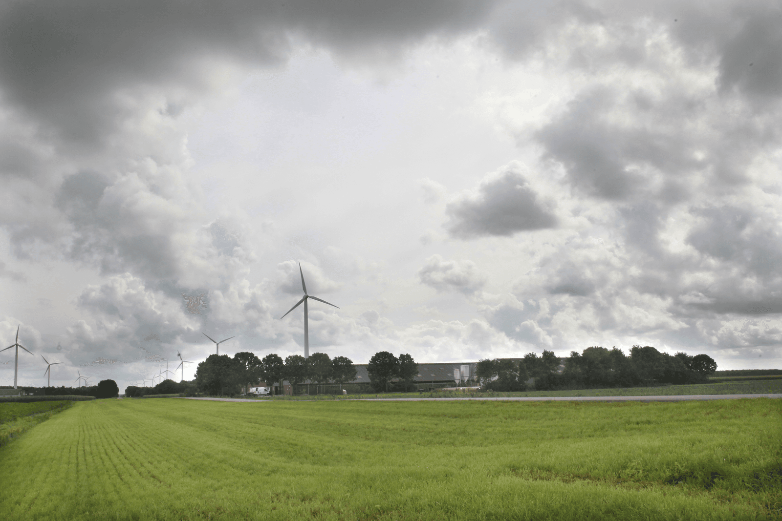 <em>Foto: Ton Kastermans Fotografie</em>