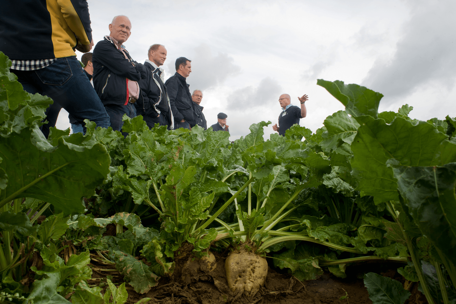 <em>Foto: Twan Wiermans</em>