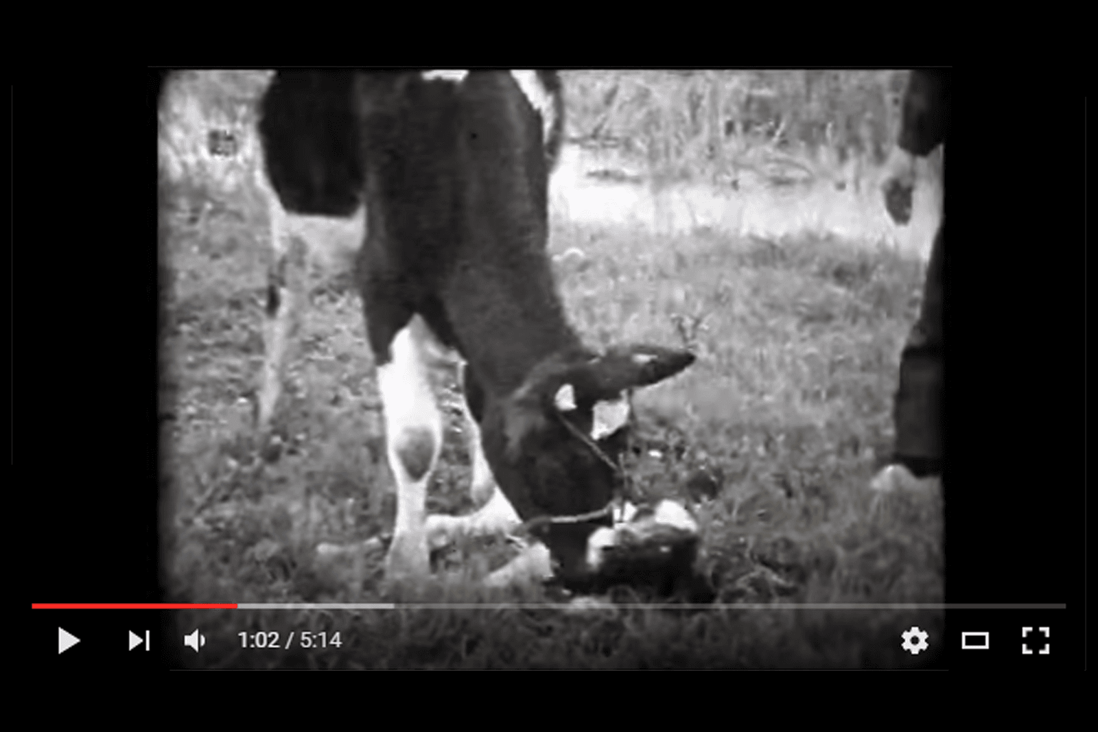 Video: boeren in de vorige eeuw - Screenshot: YouTube