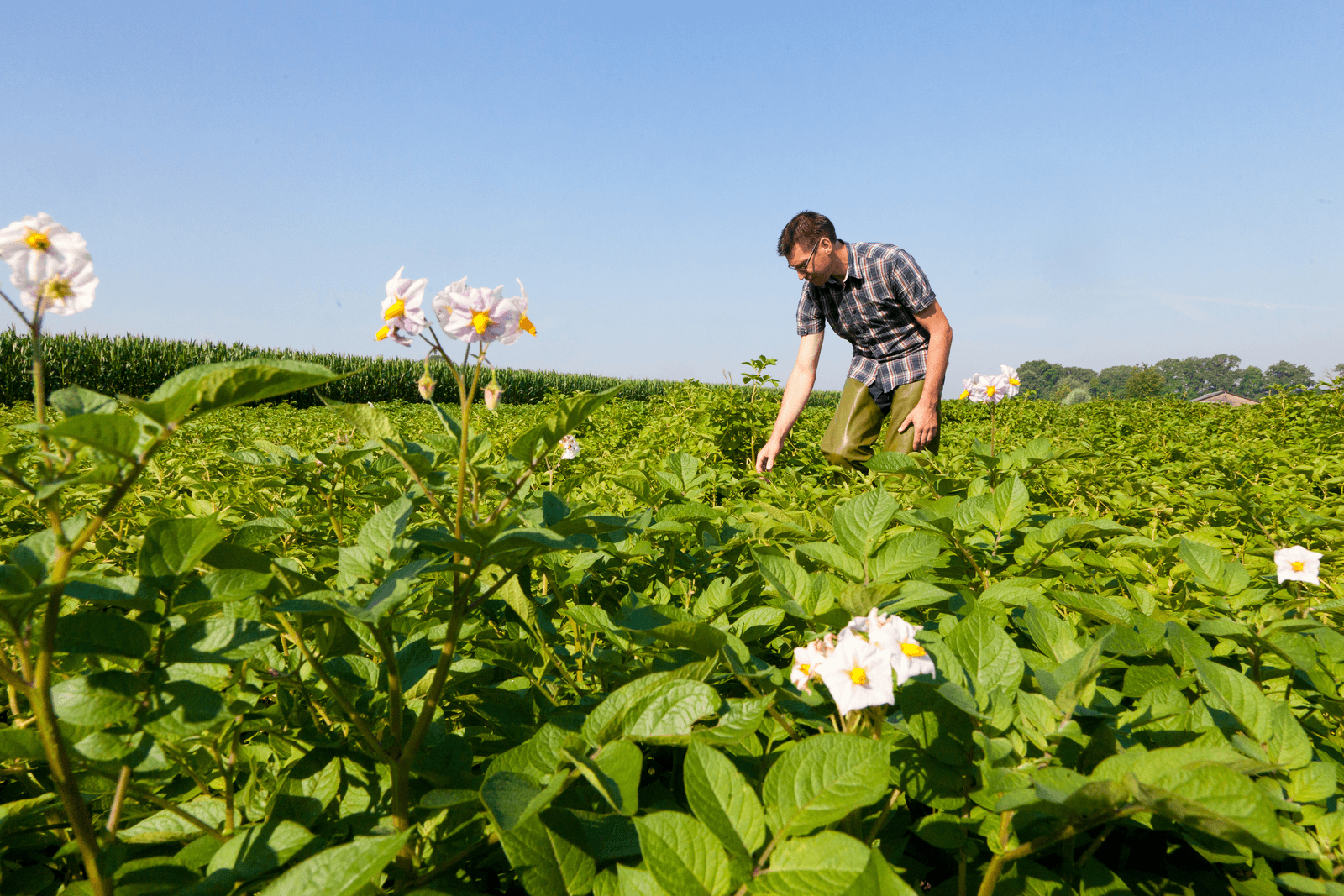 <em>Foto: Joris Telders</em>
