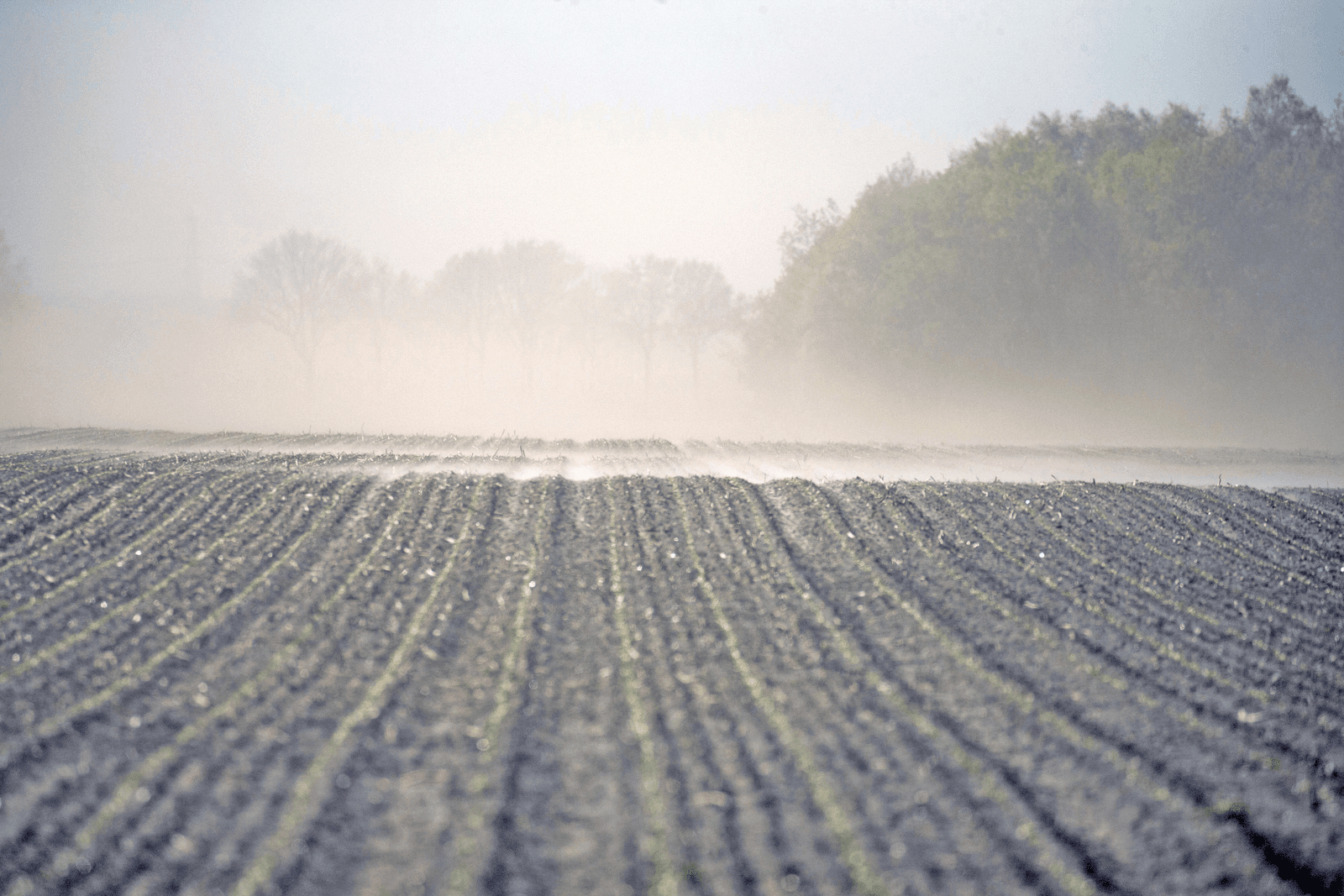 Door de droogte en de harde wind stuift het in de Veenkoloniën. Dat kan schade aanbrengen aan de jonge plantjes. De foto is gemaakt tussen Alteveer en Onstwedde. <br /><em>Foto: Koos van der Spek</em>