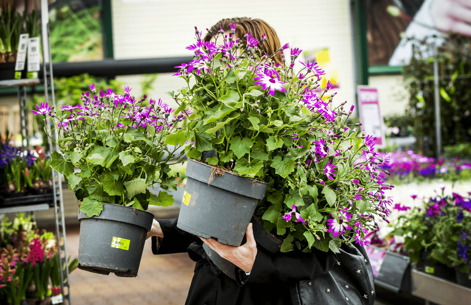 De lente en het betere lenteweer is voor veel mensen aanleiding om in de tuin aan de slag te gaan. Dat is in tuincentra te merken.<br /><em>Foto: ANP</em>