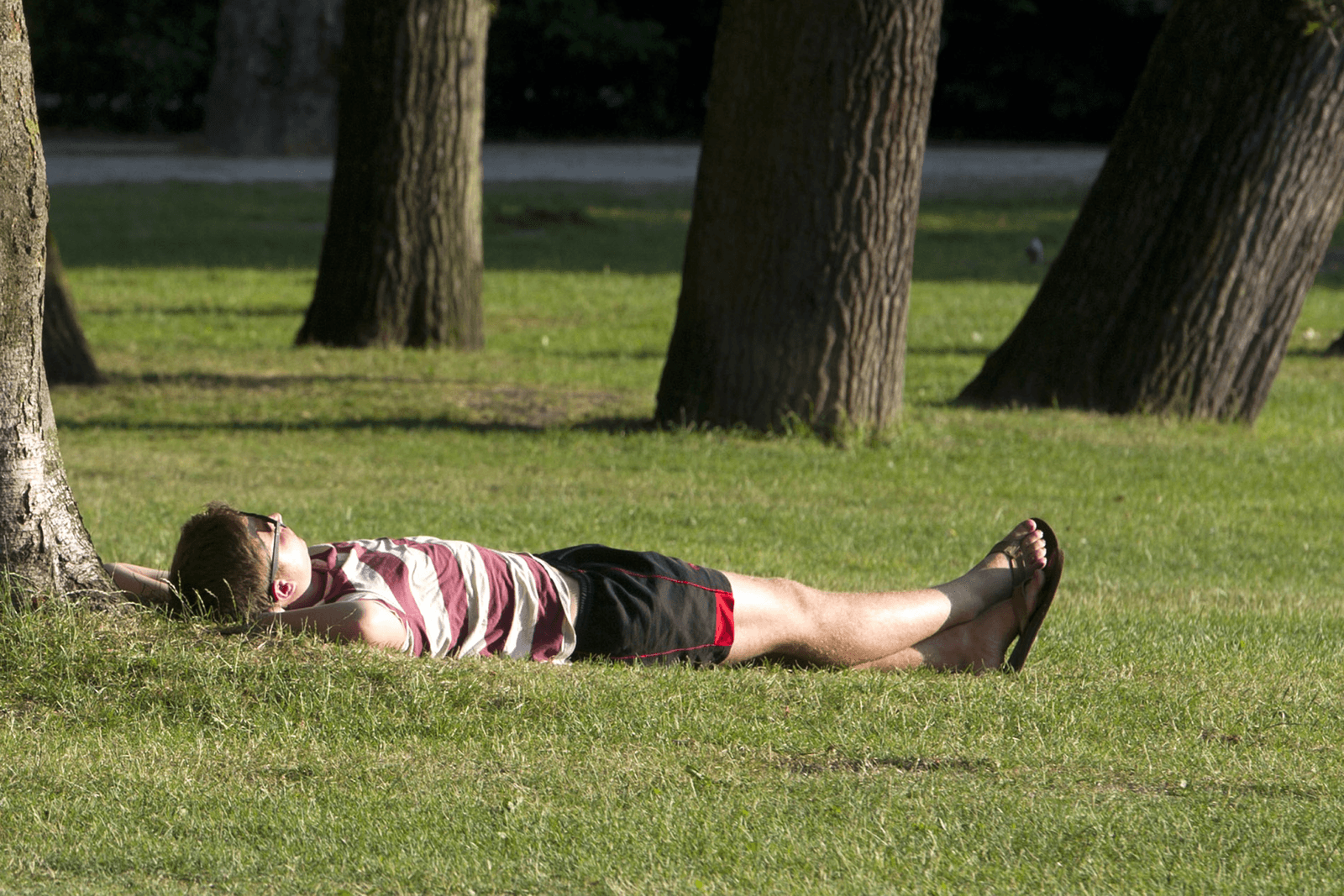 <em>Foto: ANP</em>
