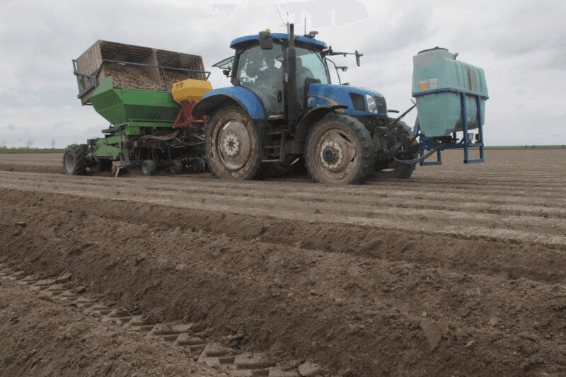 Aardappelen bemesten en pootgoed planten