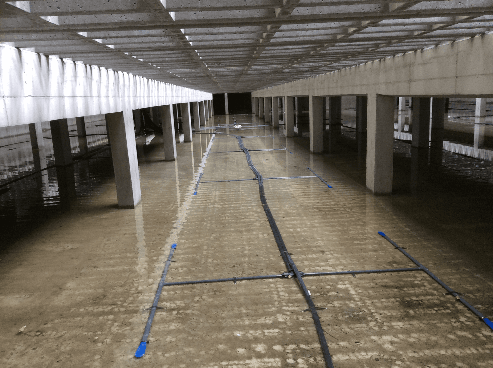 Bij het Aeromix-systeem liggen tyleenslangen onderin de mestkelder. Een compressor maakt grote luchtbellen die opstijgen door de mest, waardoor deze verticaal mengt.</p> <p><em>Foto: Wageningen UR</em>