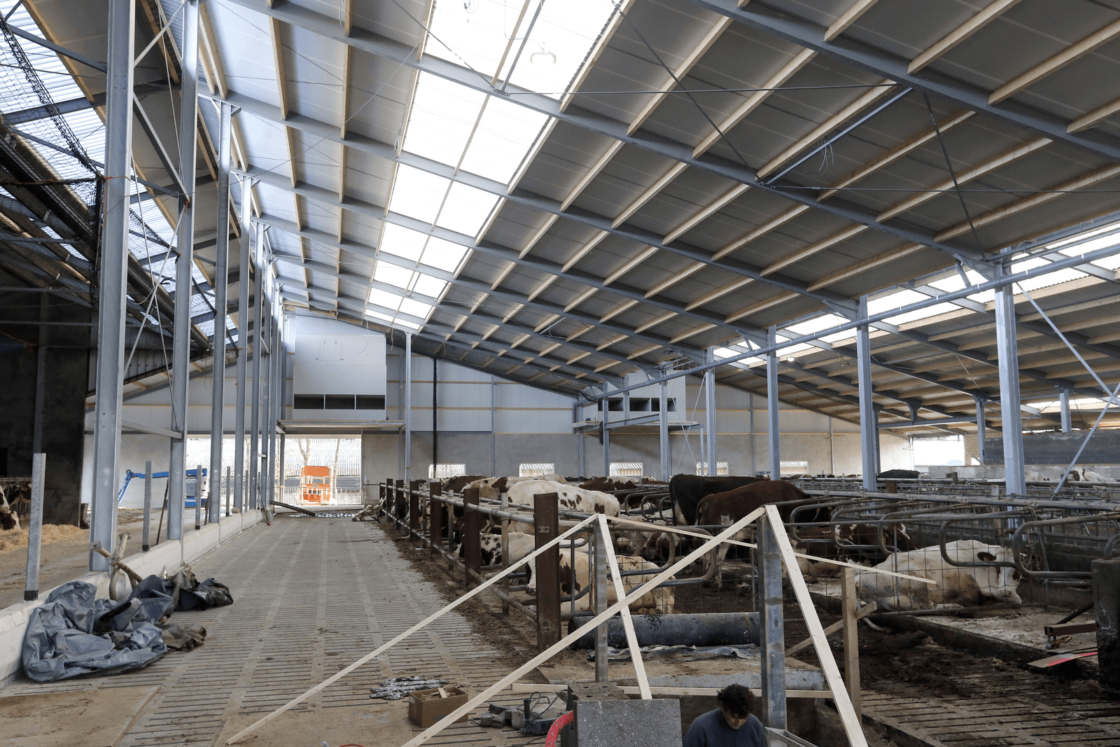 Overleven op efficiëntie in melkveehouderij