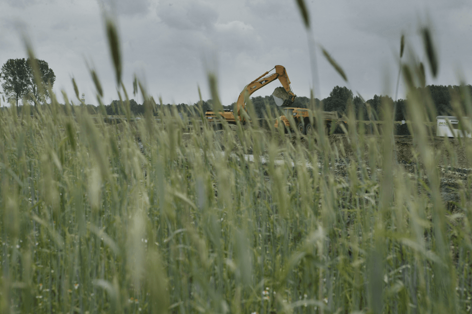 <em>Foto: Mark Pasveer</em>