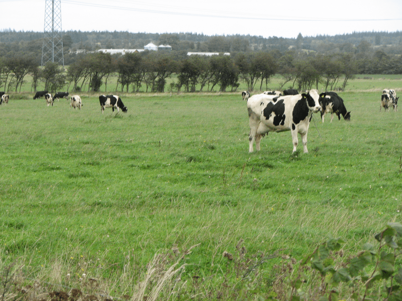 <em>Foto: Boerderij</em>