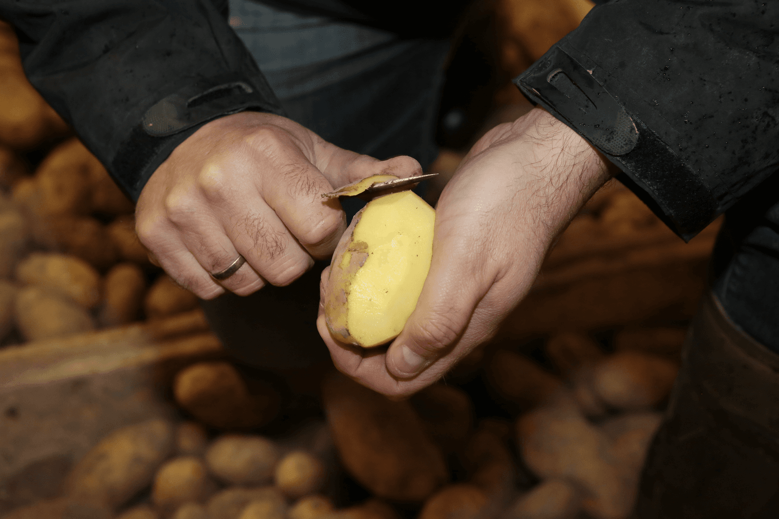 <em>Foto: Ton Kastermans Fotografie</em>