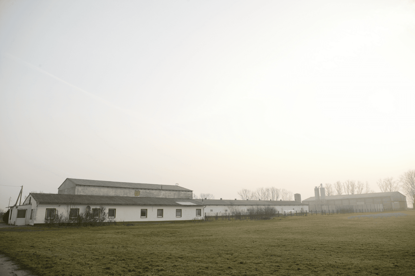 Brandenburg beperkt intensieve veehouderij