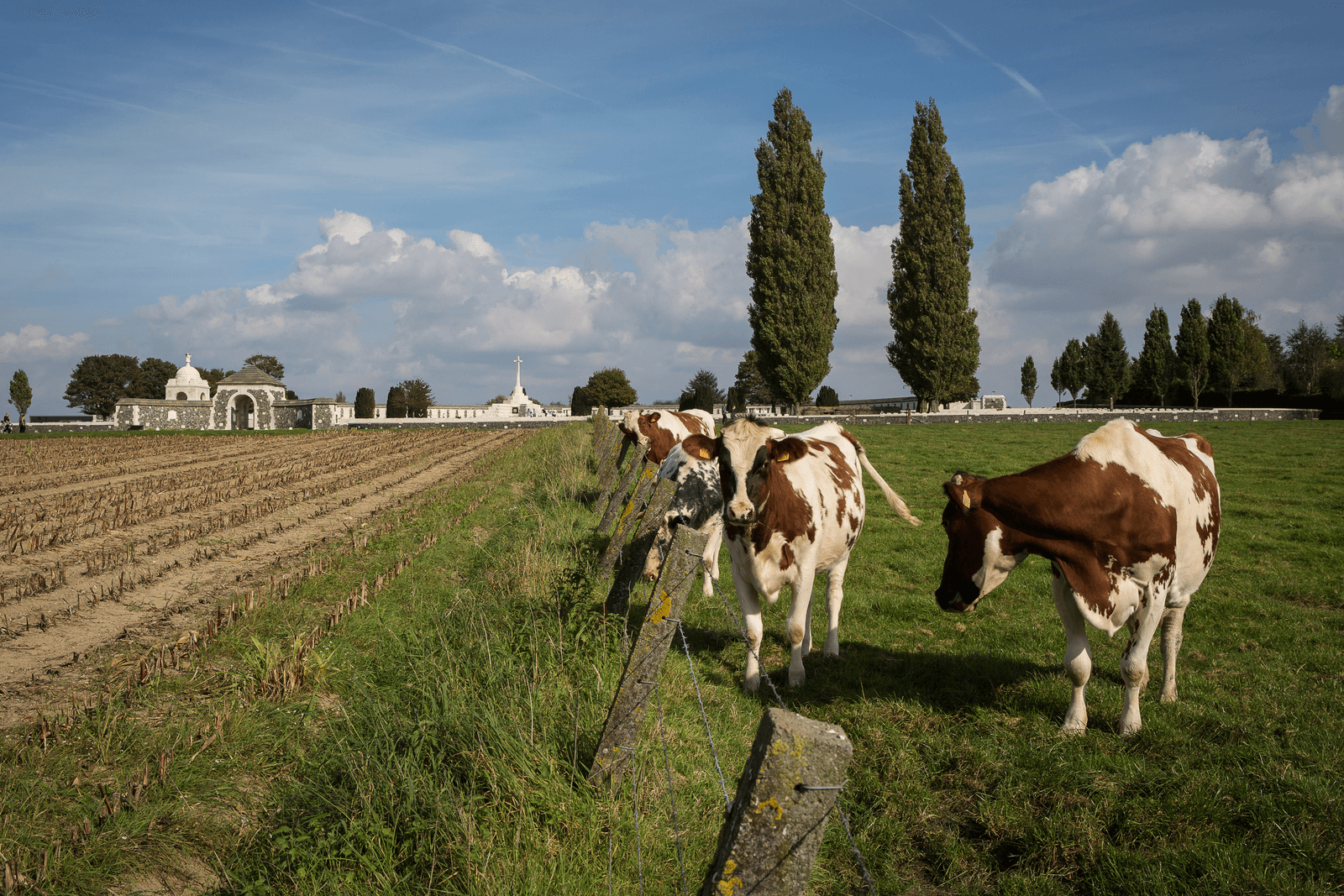 <em>Foto: Peter Roek</em>