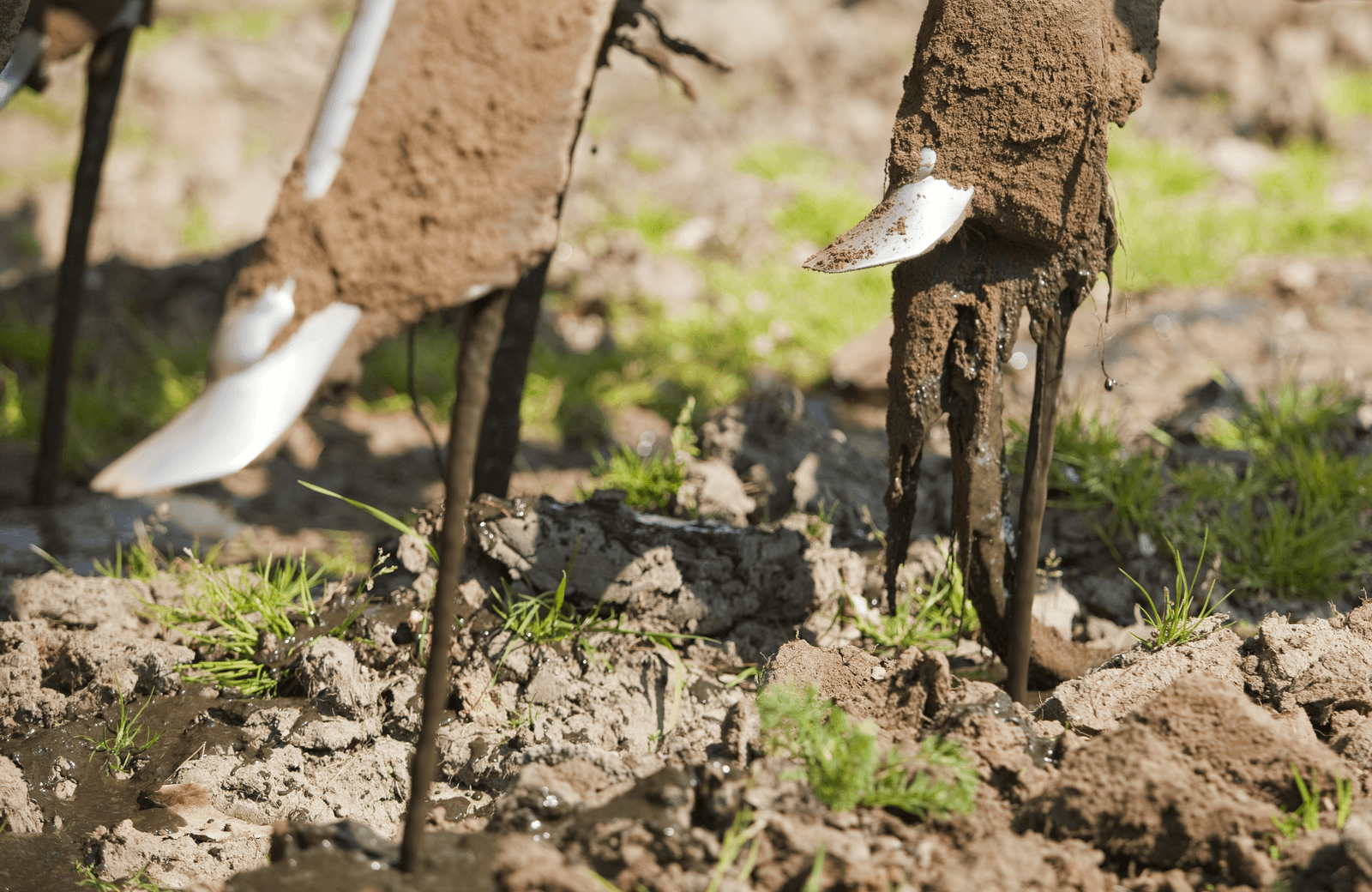 <em>Foto: Jan Willem Schouten</em>