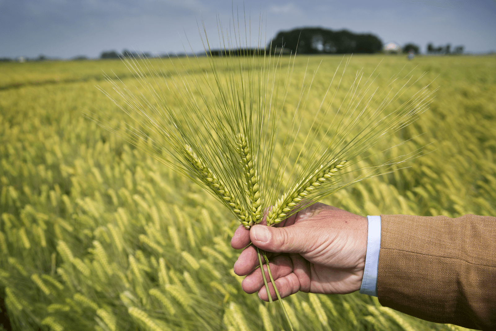 <em>Foto: Roel Dijkstra</em>