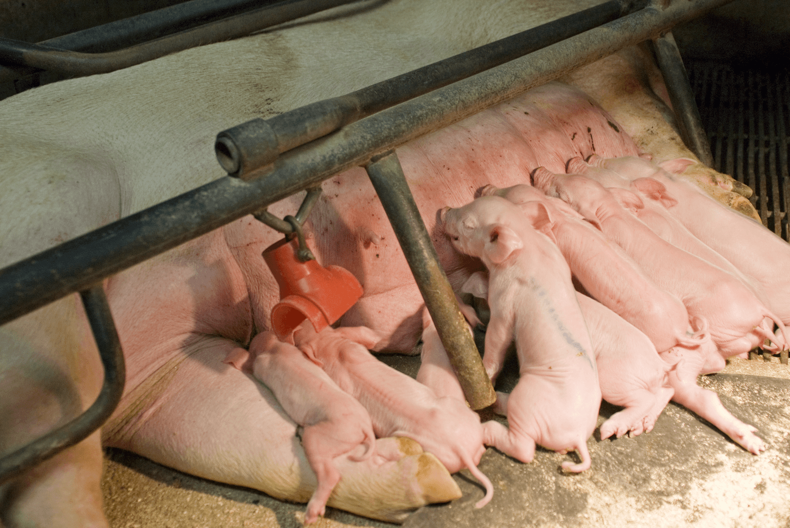 <em>Foto: Bart Nijs</em>