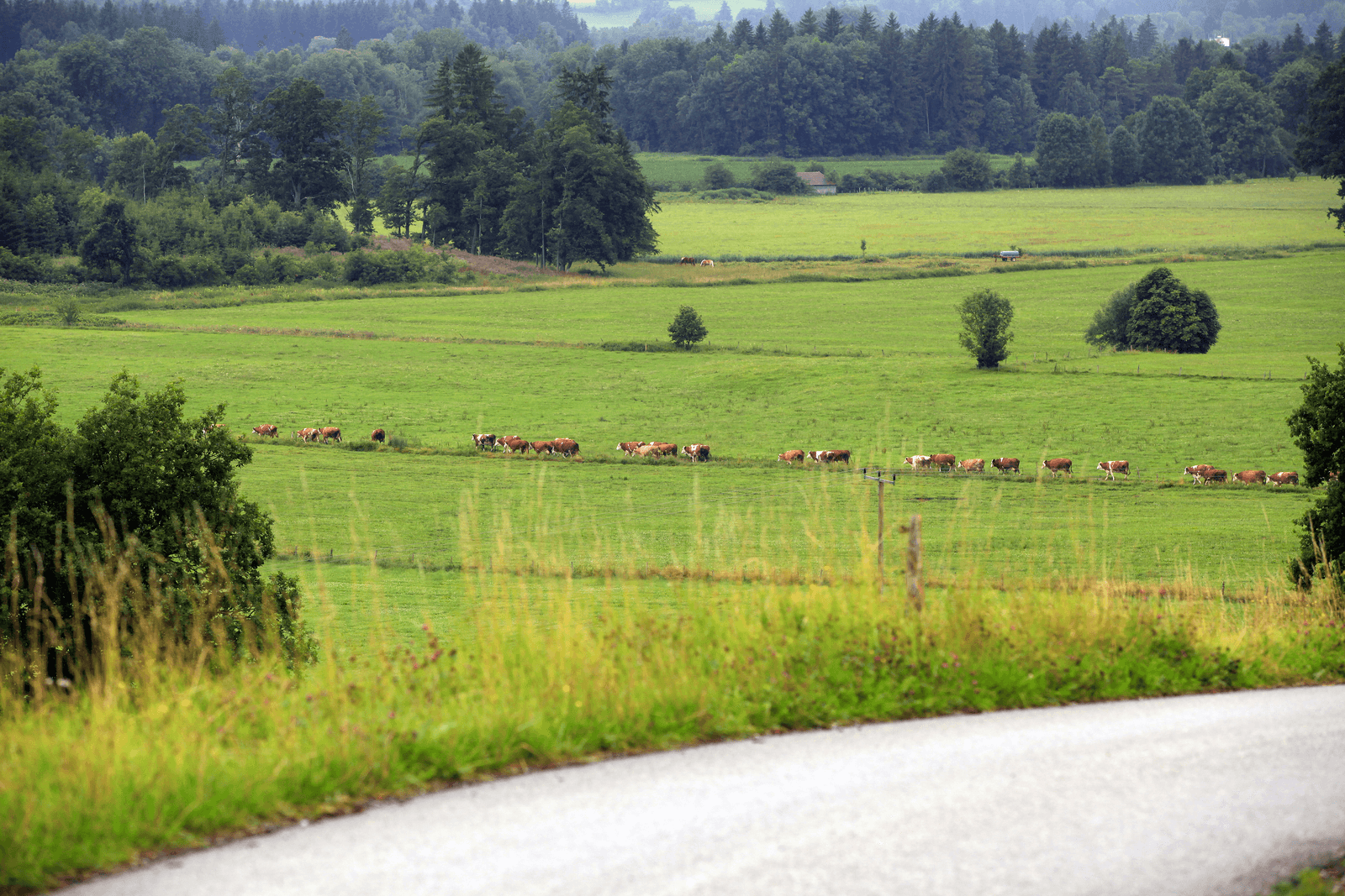<em>Foto: Henk Riswick</em>