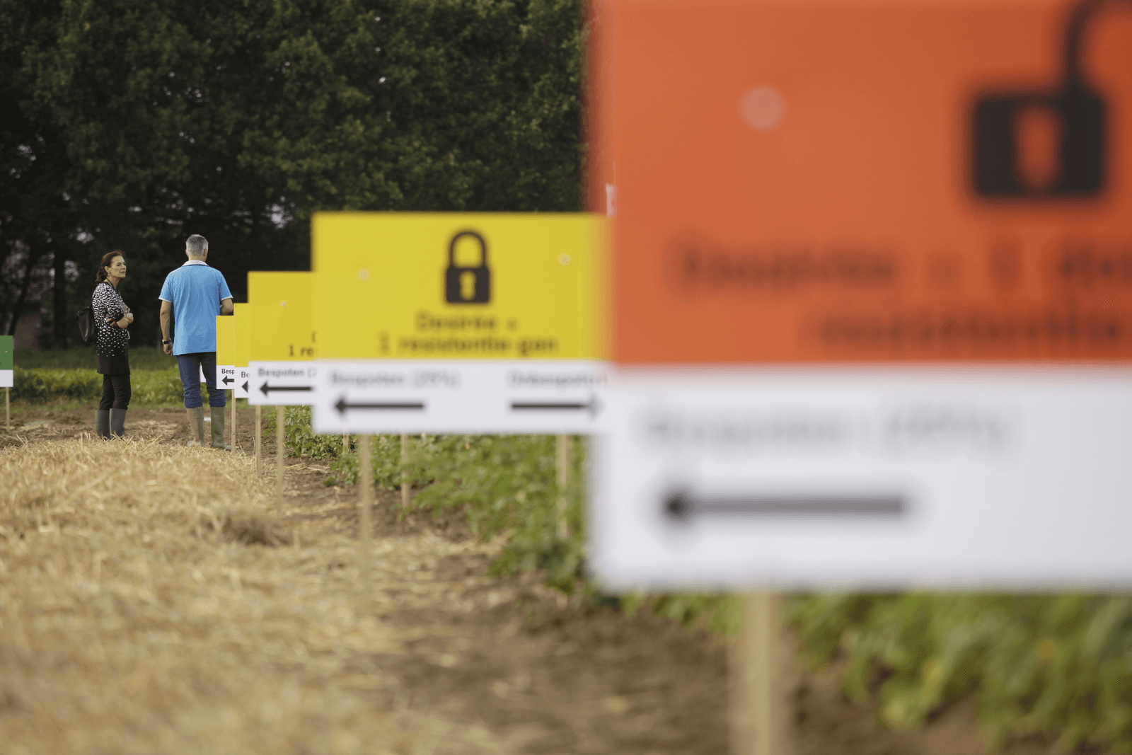 Genetische gewassen zijn een controversieel onderwerp in de Europese Unie. Op de <em>foto</em> opent Louise Fresco, voorzitter van de Raad van Bestuur van Wageningen UR (University & Research centre), op 28 augustus 2014 de publieksavond/publieksbijeenkomst over genetisch gemodificeerde aardappels voor duurzame resistentie tegen phytophthora.<br /><em>Foto: Michel Zoeter</em>