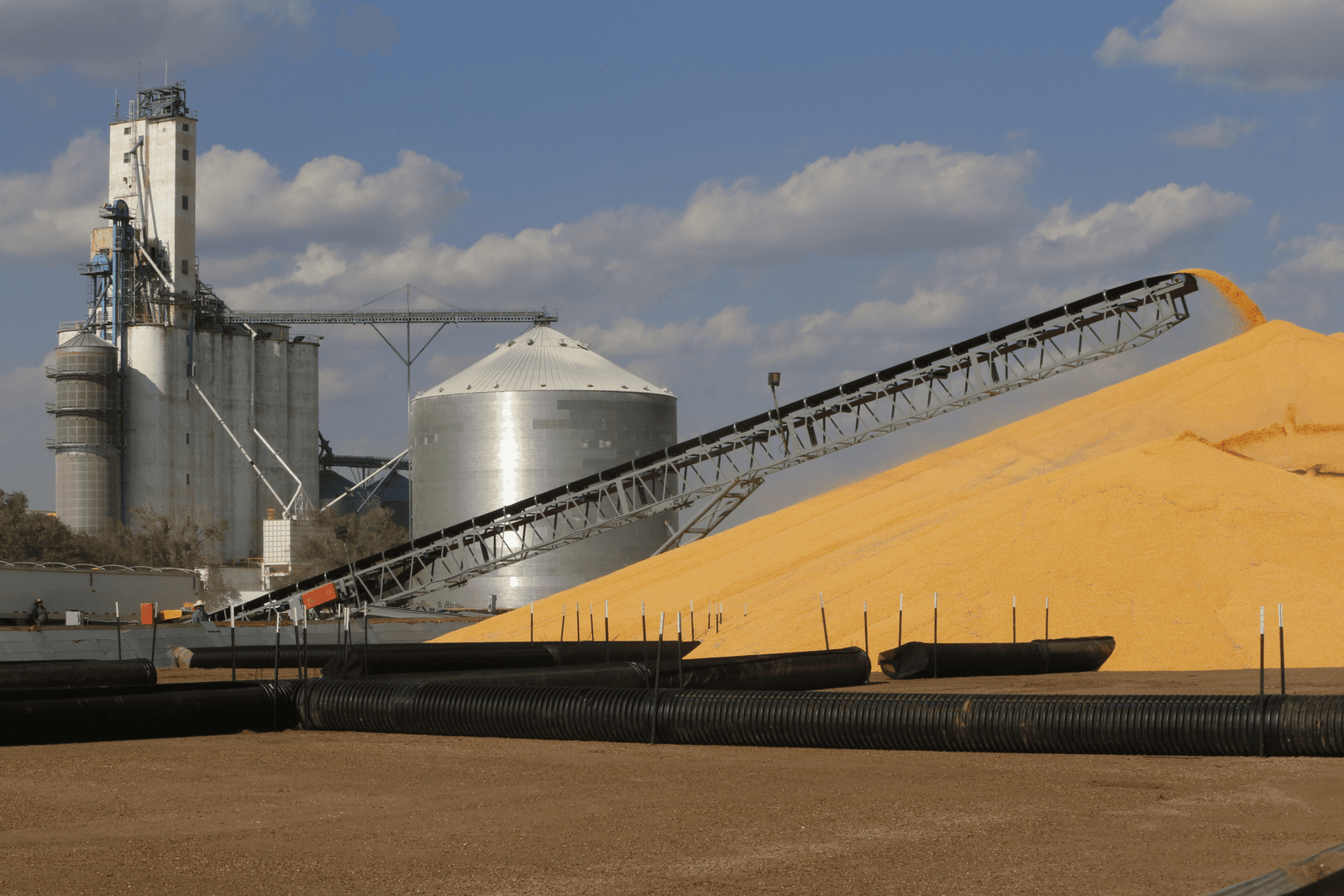 De heffing wordt berekend op basis van de maisprijs in Chicago, al voert de EU nauwelijks mais in vanuit de VS vanwege transgene mais.</p> <p><em>Foto: Henk Riswick</em>