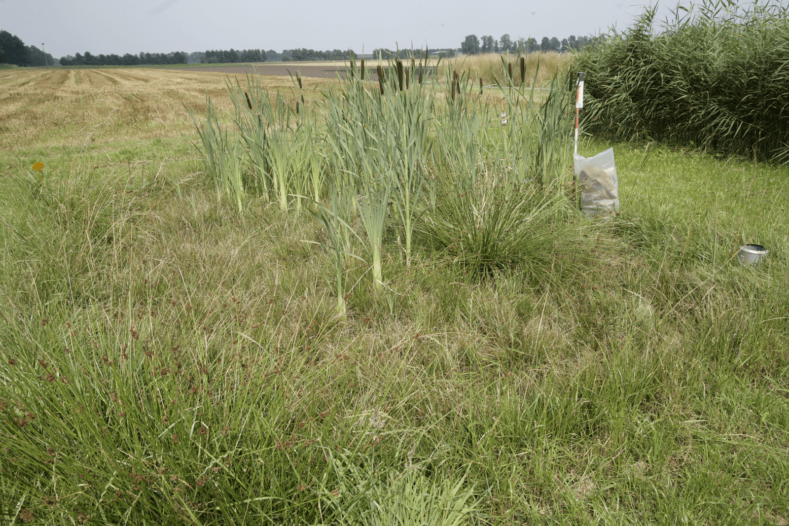 <em>Foto: Michel Zoeter</em>