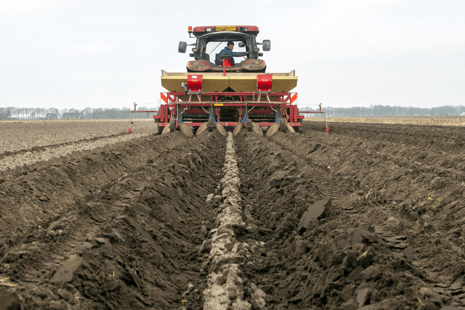 De eerste aardappelen zijn op een deel van de bedrijven gepoot, voordat de betalingsrechten 2015 zijn uitbetaald.<br /><em>Foto: Koos van der Spek</em>