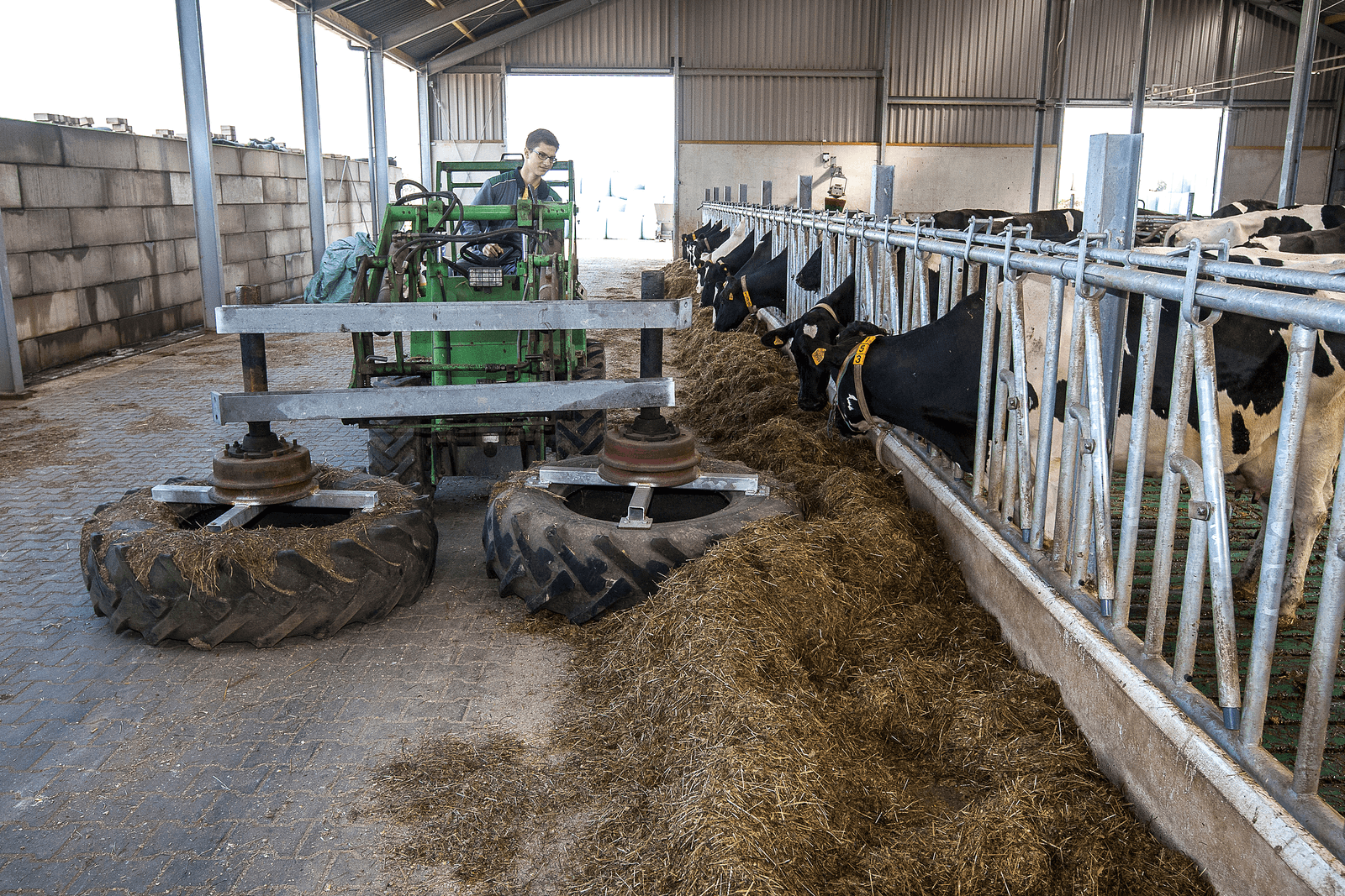 Een <a href="http://www.boerderij.nl/Rundveehouderij/Foto-Video/2015/10/Stierenmester-maakt-gedurfde-start-met-melkvee-2701077W/">opvolger</a> schuift voer aan in een ligboxenstal. <br /><em>Foto: Ronald Hissink</em>