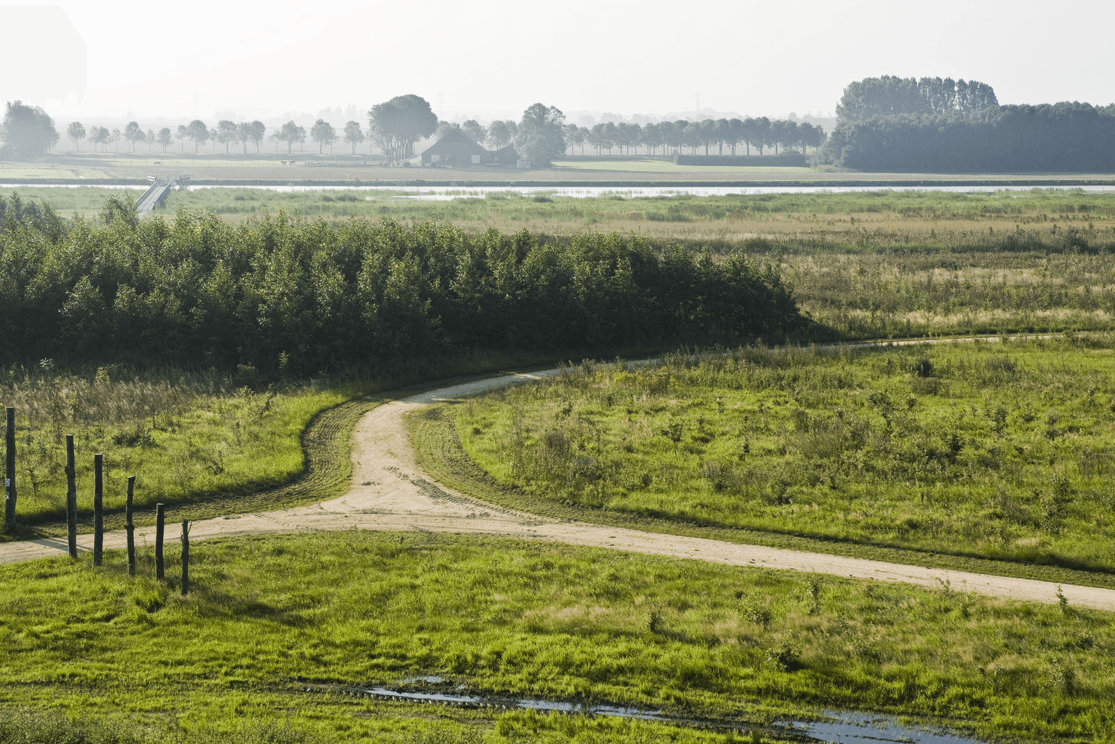 Natuurgebied Reiderwolde in Groningen.</p> <p><em>Foto: Koos Groenewold</em>