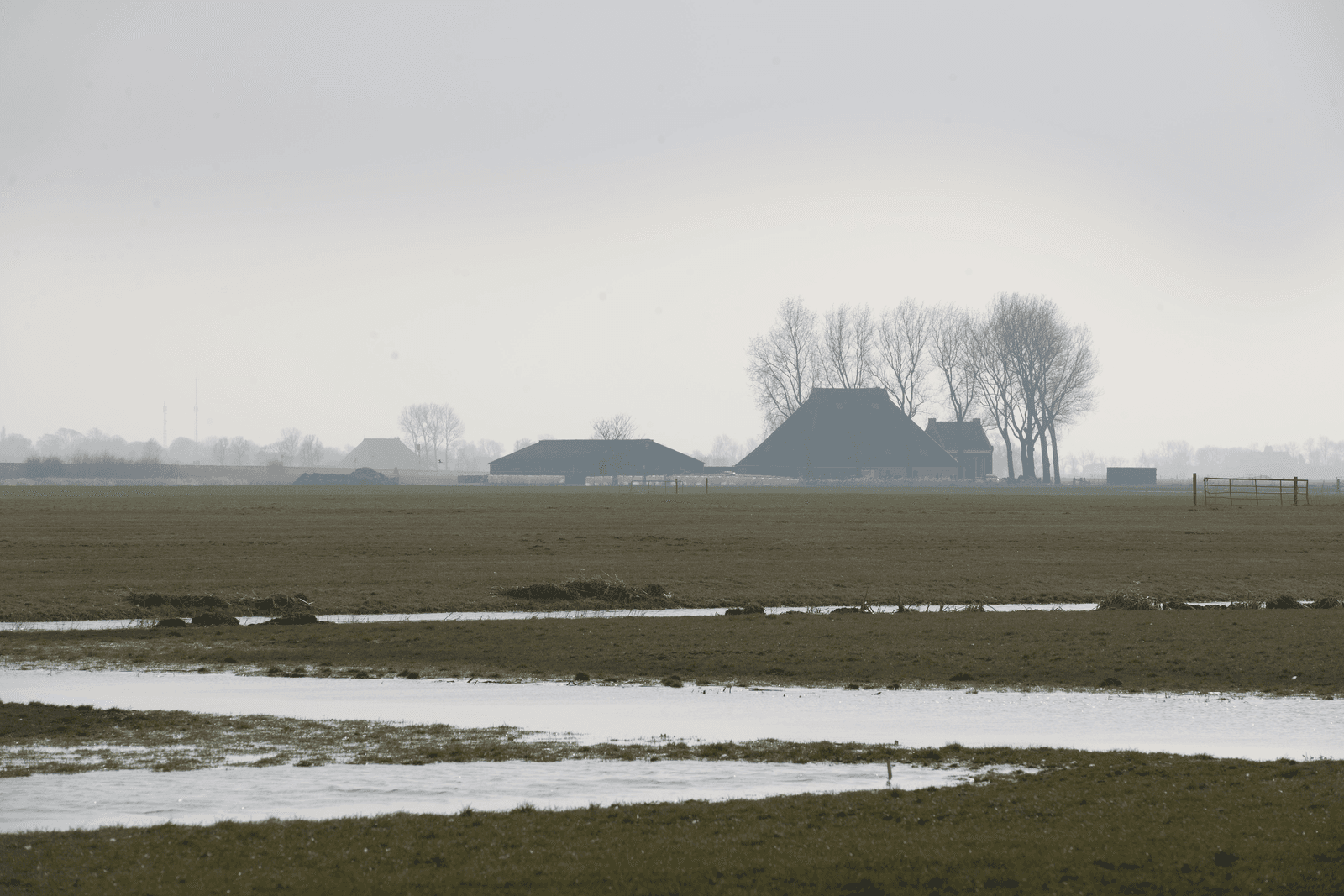 Belasting die de boer moet betalen, is afhankelijk van de waarde van zijn onroerend goed. Wat is een redelijke belasting voor een agrarisch bedrijf?<em><br />Foto: Mark Pasveer</em>