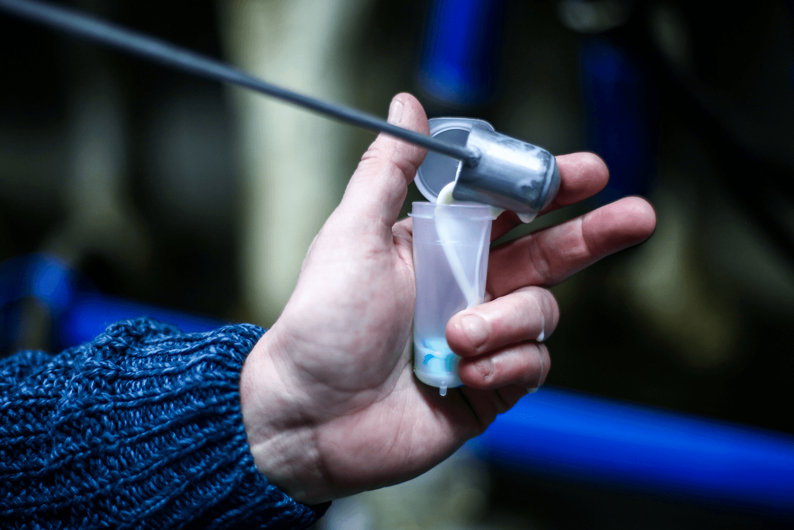 <em>Foto: Diederik van der Laan</em>