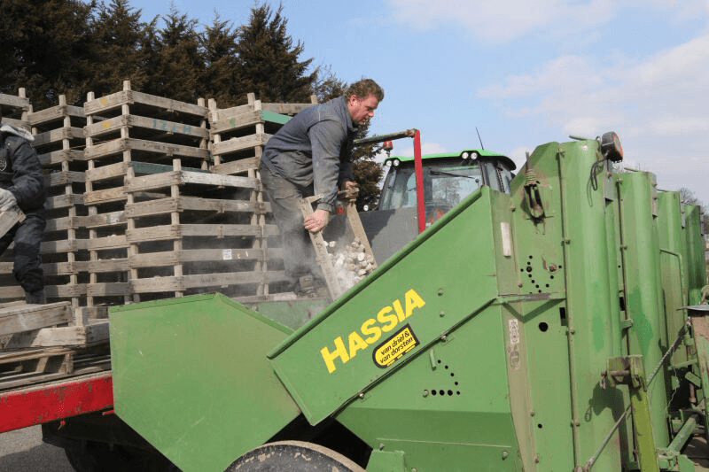 Primeuraardappelen volop geplant