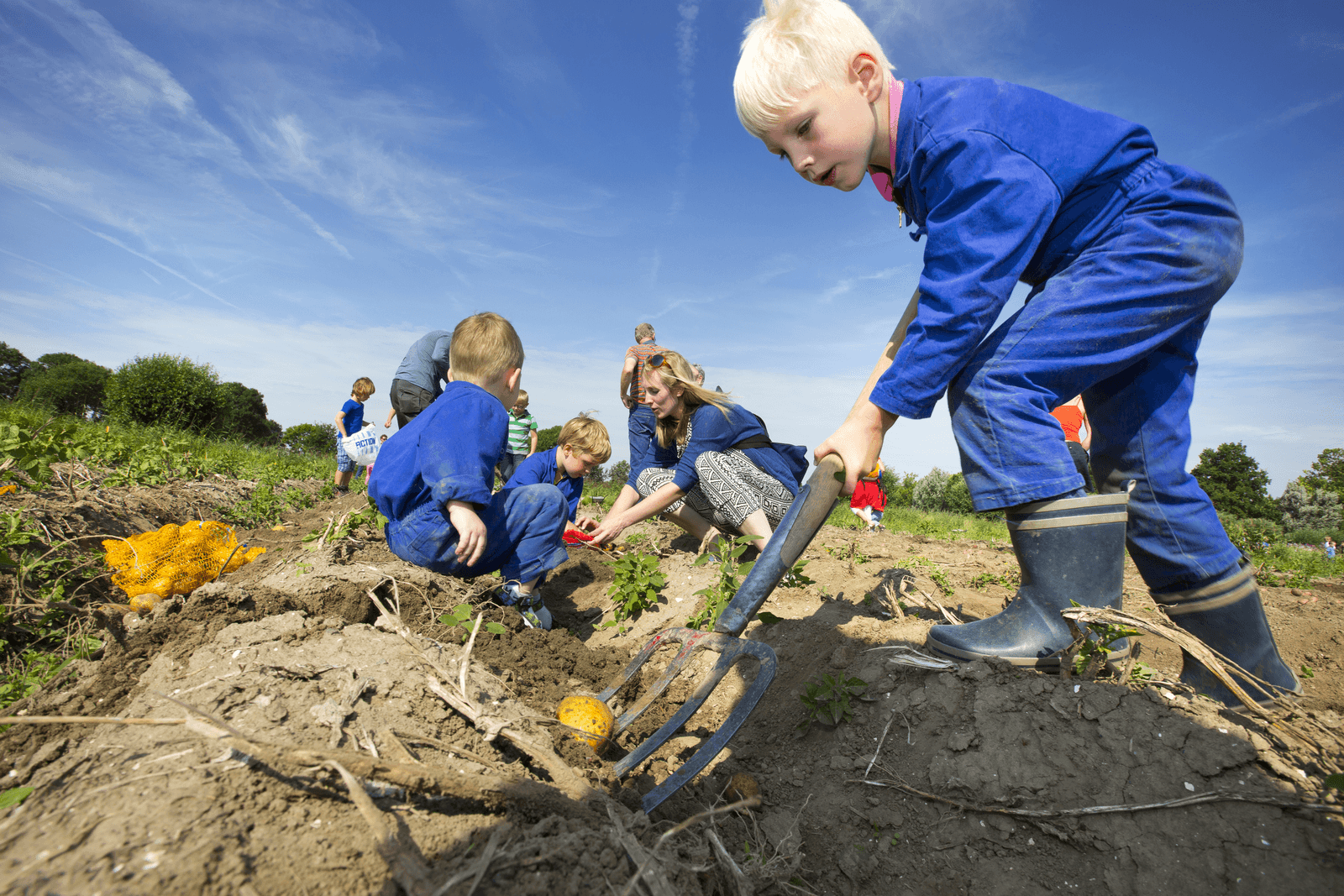 Zorgboerderij De Boerderij.<br /><em>Foto: Ruud Ploeg </em>
