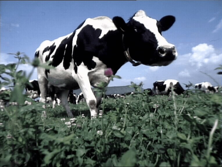 Biologische sector groeit weer