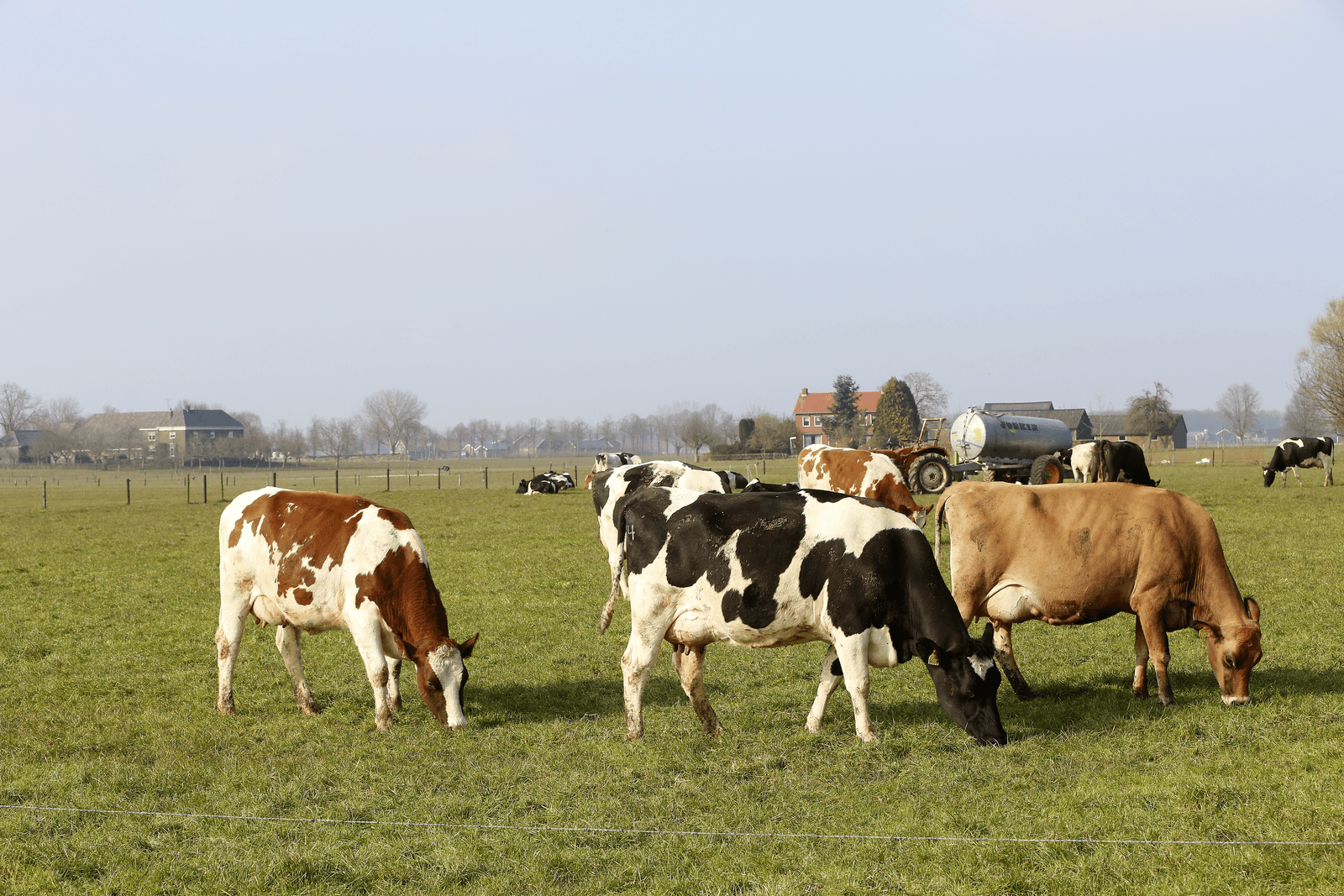 <em>Foto: Henk Riswick</em>