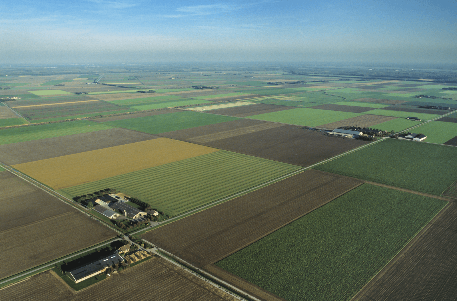Luchtfoto van Flevoland. Via <em>Akkerweb</em> kunnen telers eenvoudig hun percelen op een kaart intekenen. <br /><em>Foto: Aerophoto-Schiphol bv</em>