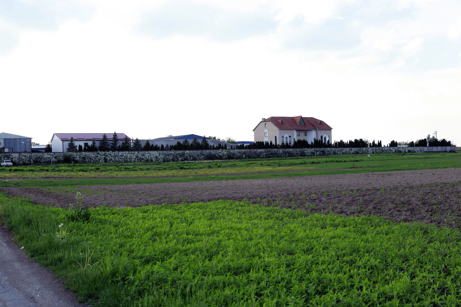 Akkerbouwbedrijf Sergei Plaksia in Kalinvka, Oekraïne.<br /><em>Foto: Henk Riswick </em>