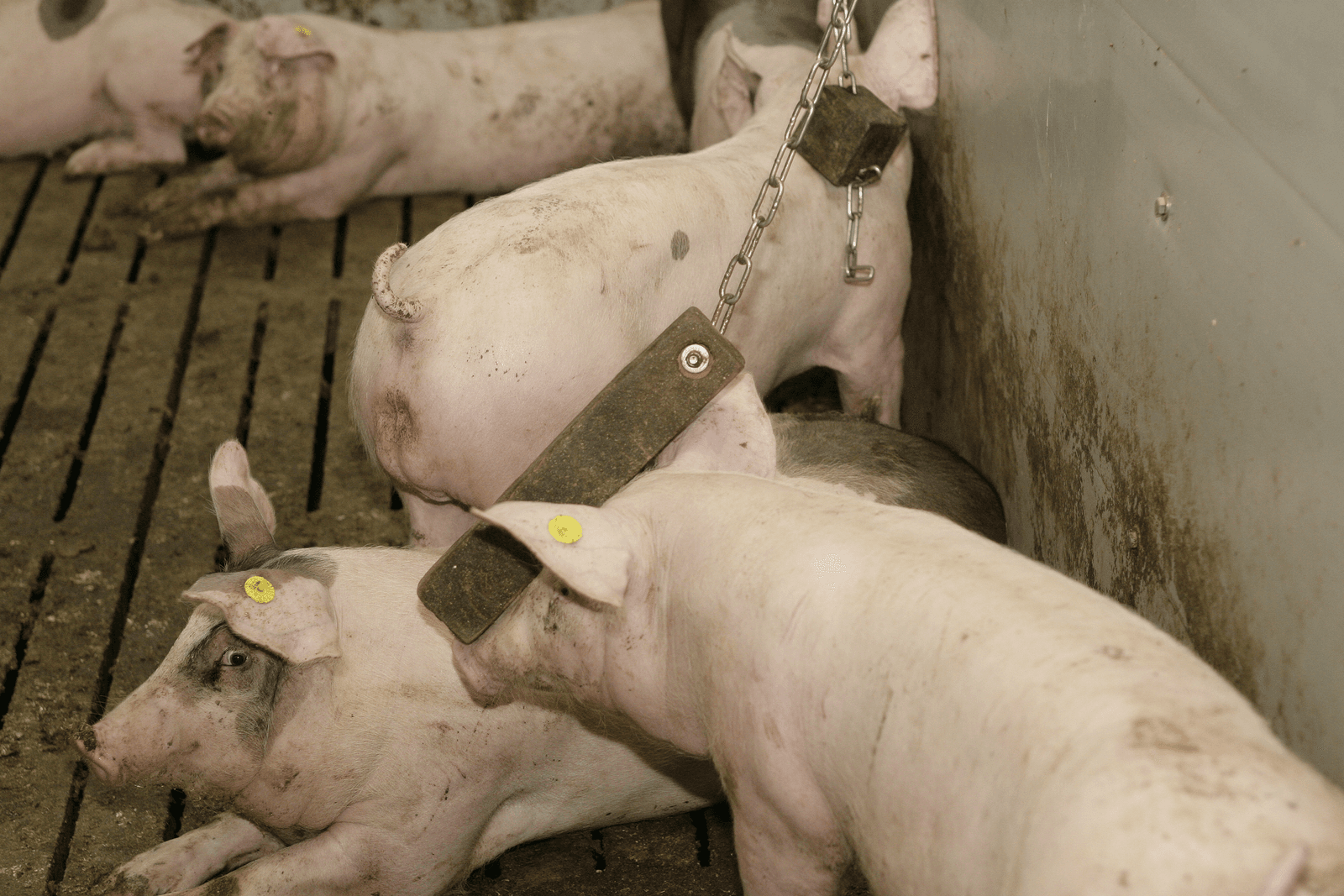 <em>Foto: Ton Kastermans Fotografie</em>