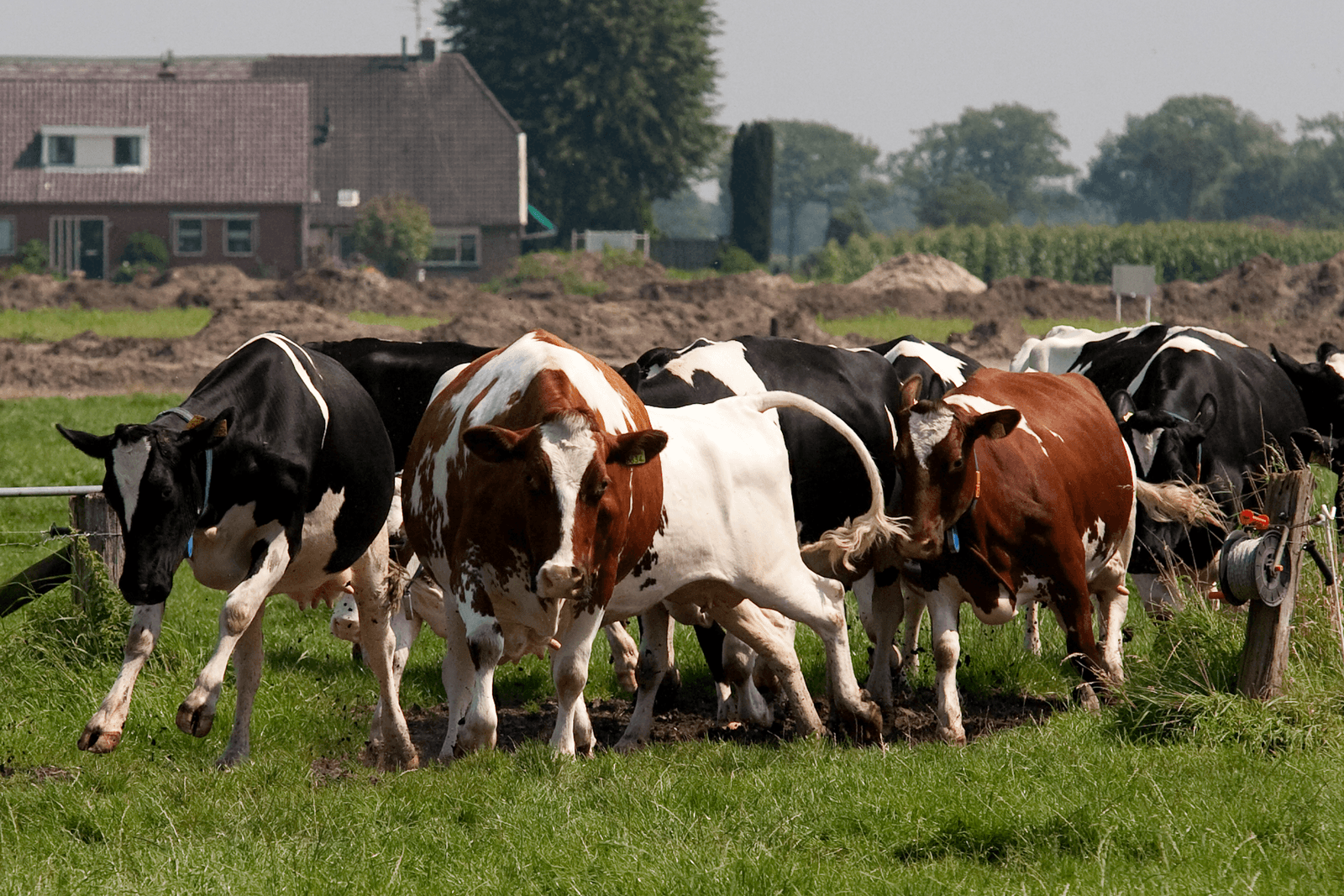 <em>Foto: Ronald Hissink</em>