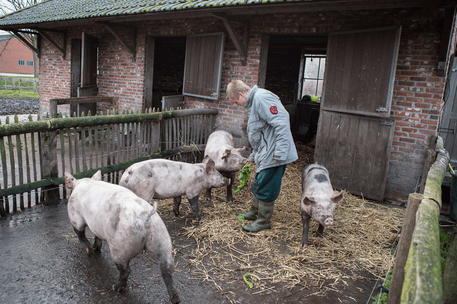 <em>Foto: Peter Roek</em>