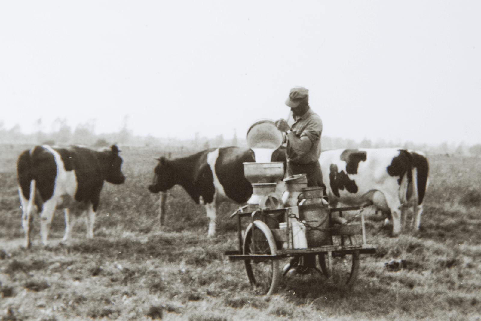 <em>Foto: Jan Willem Schouten</em>