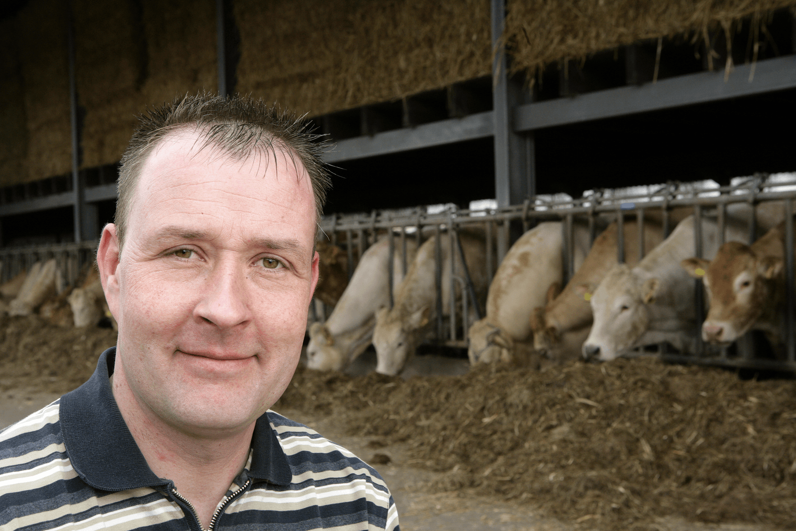 Jos Bolk, de nieuwe voorzitter van de Federatie Vleesveestamboeken Nederland.</p> <p><em>Foto: Henk Riswick</em>