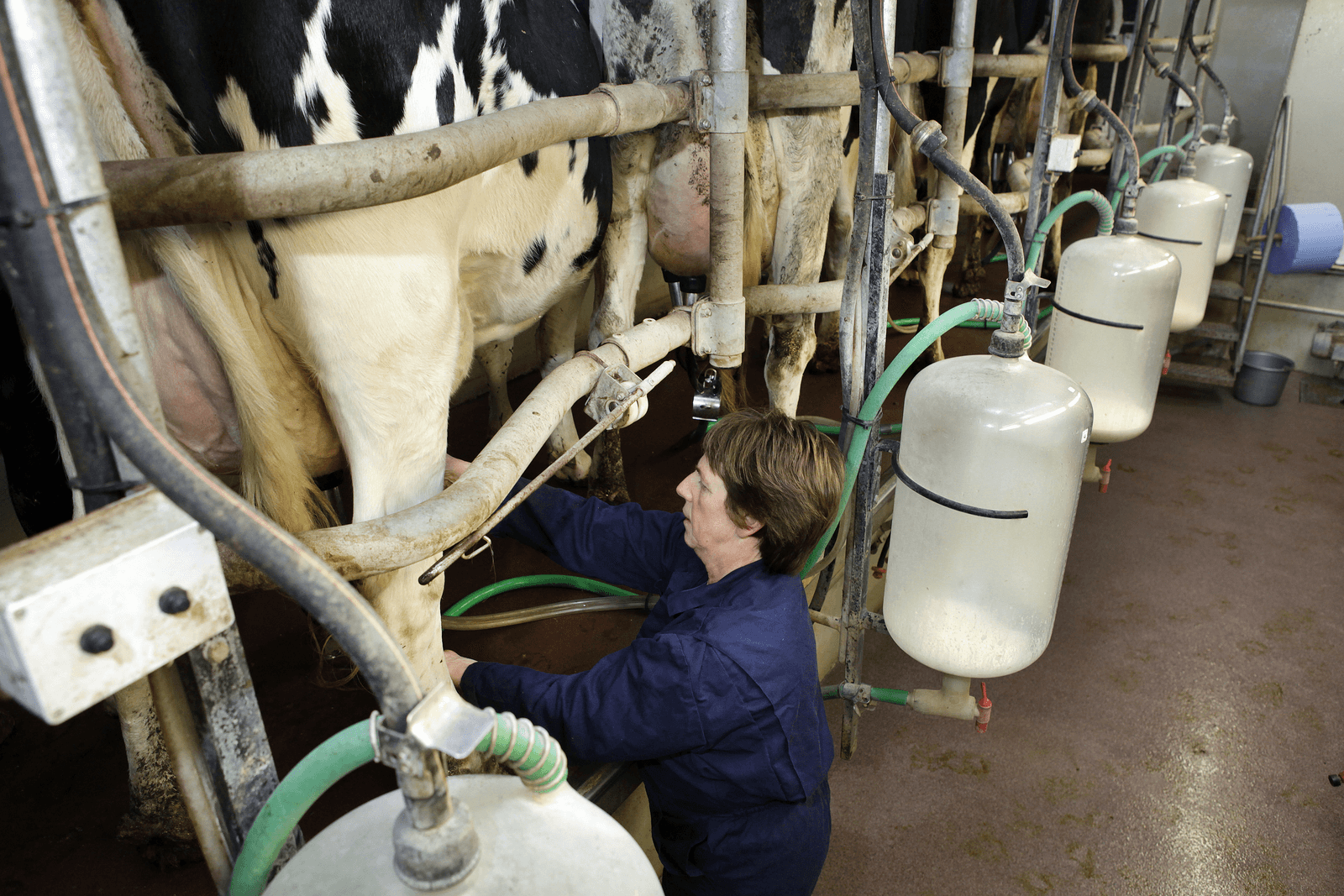 Foto: Hans Prinsen