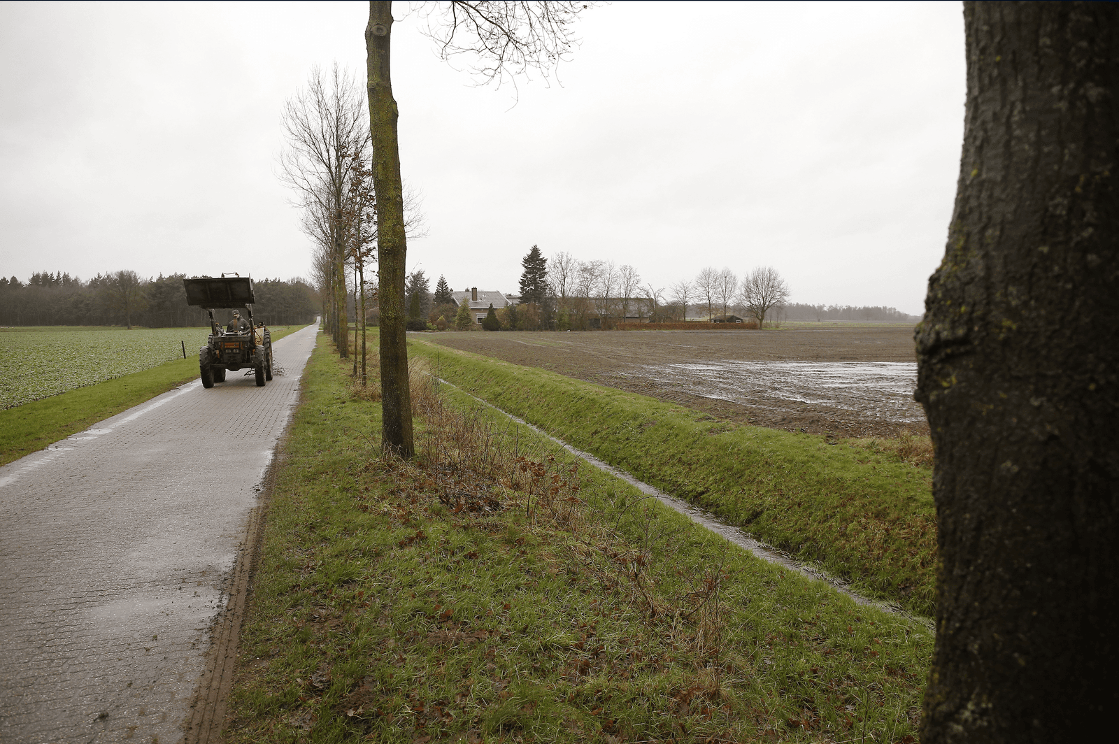 <em>Foto: Hans Prinsen</em>