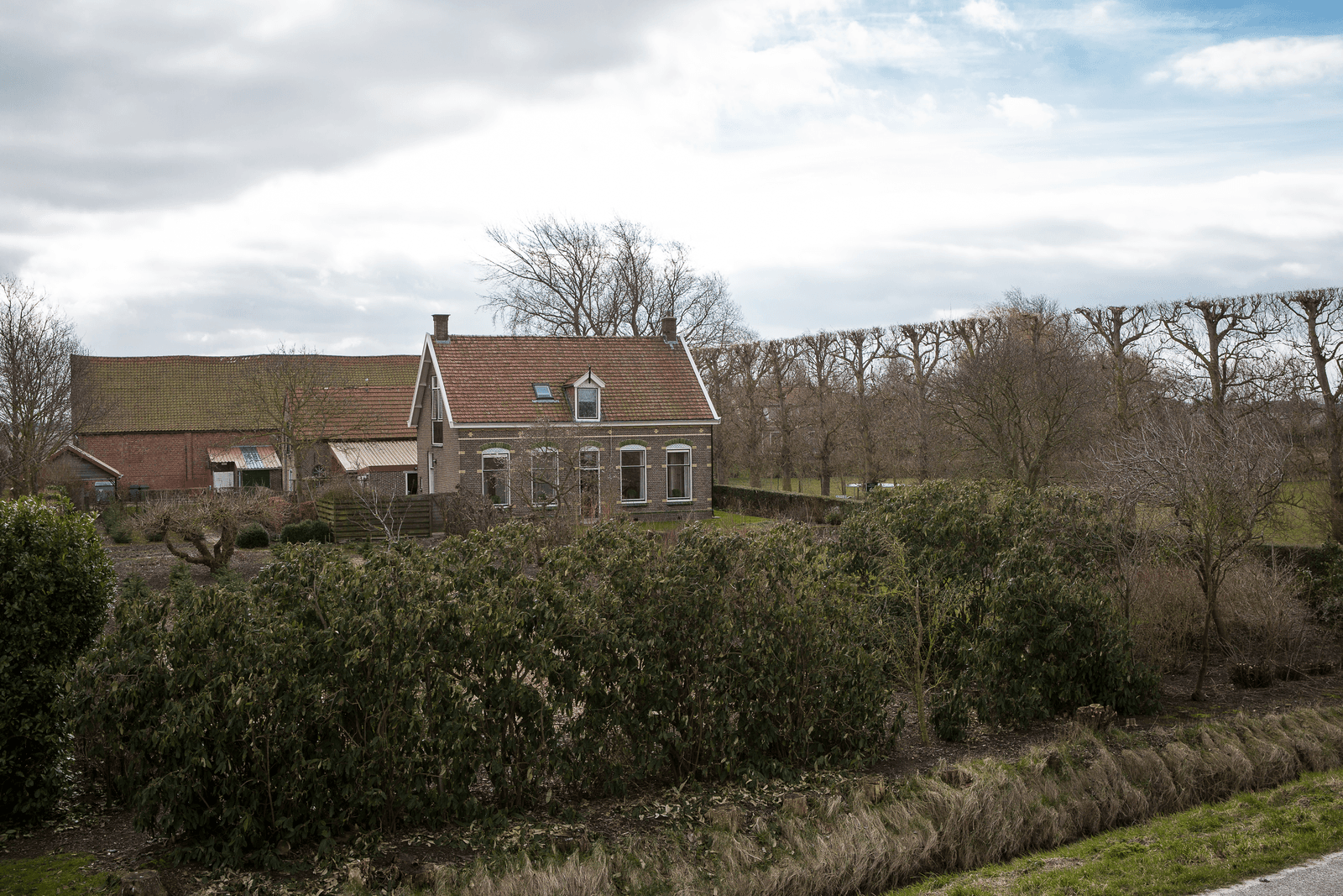 <em>Foto: Peter Roek</em>