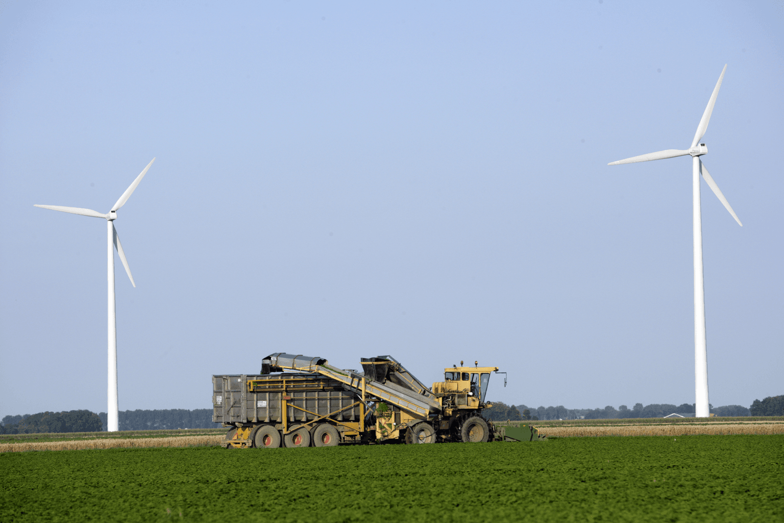 De Nederlandse agrarische sector biedt oplossingen voor wereldwijde uitdagingen. Foto: Henk Riswick