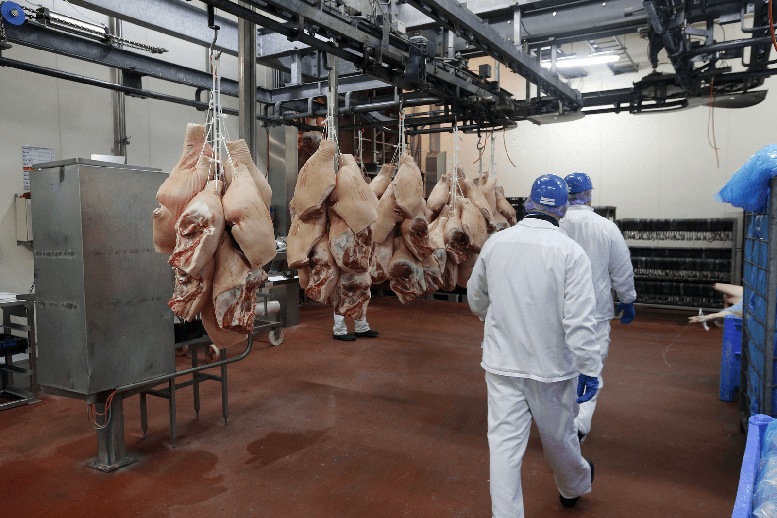 Vion Boxtel: het inpakken en laden van varkensvlees voor export. In november 2014 gemaakte <em>foto</em>. Werknemers van vion lopen tussen de karkassen.</p> <p><em>Foto: Bert Jansen</em>