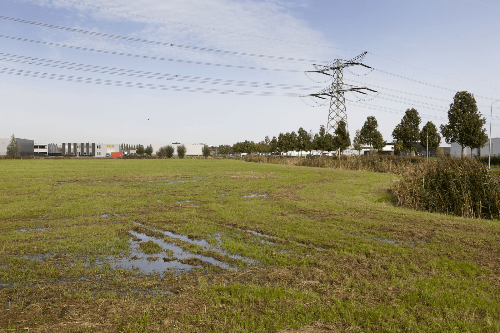 <em>Foto: Roel Dijkstra</em>