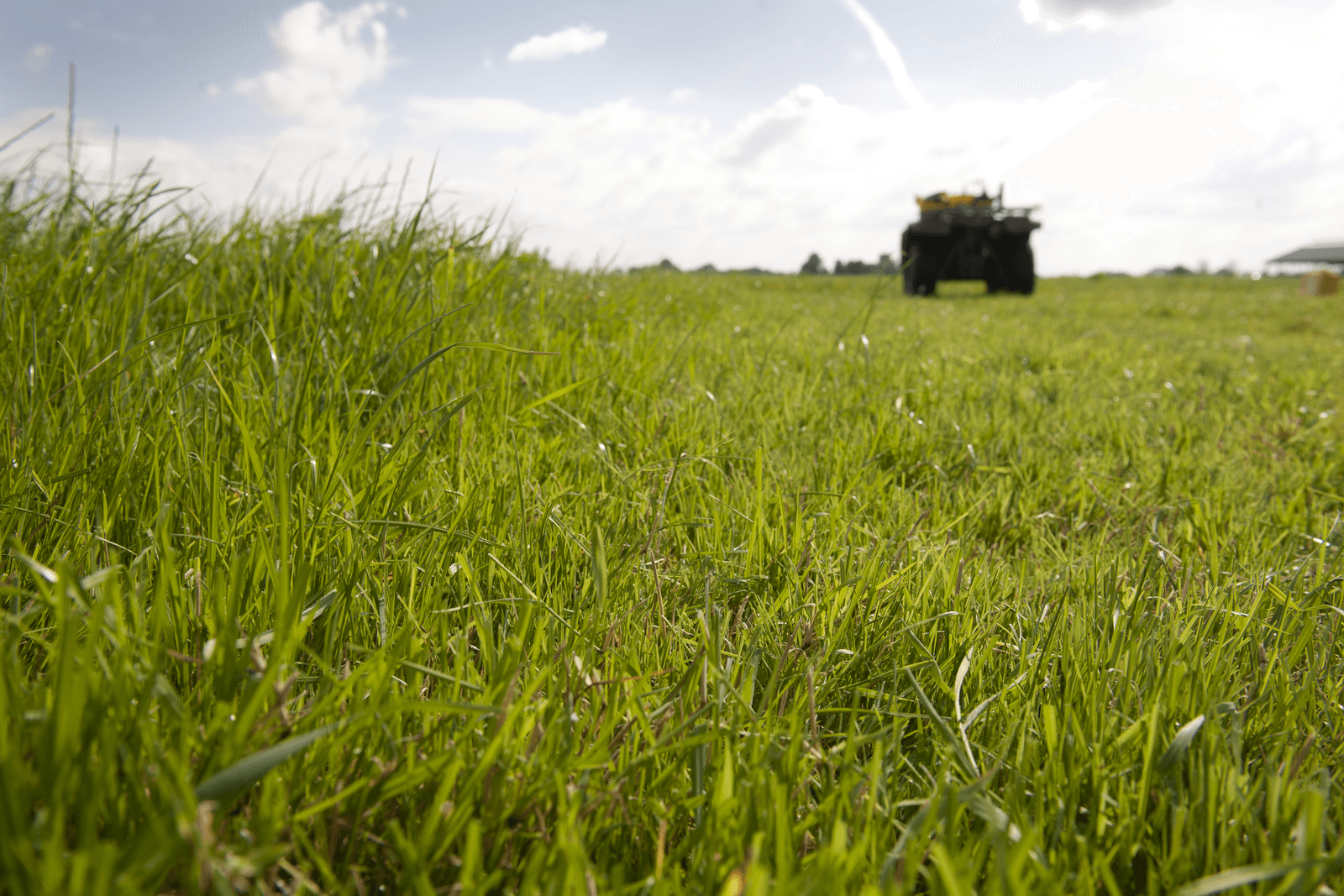 Een grashoogtemeter helpt de veehouder om op het juiste tijdstip te maaien en te beweiden. Dat verbetert benutting van vers gras en graskuil. <em><br />Foto: Mark Pasveer</em>