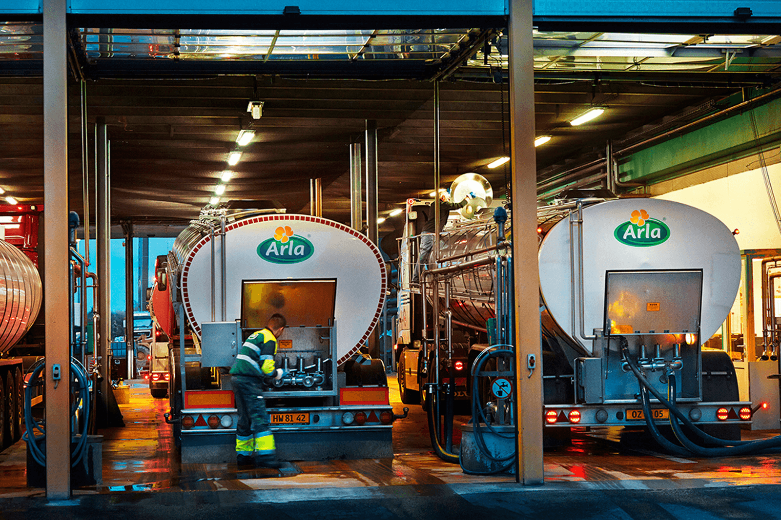 Melkprijs Arla in januari ietsje hoger