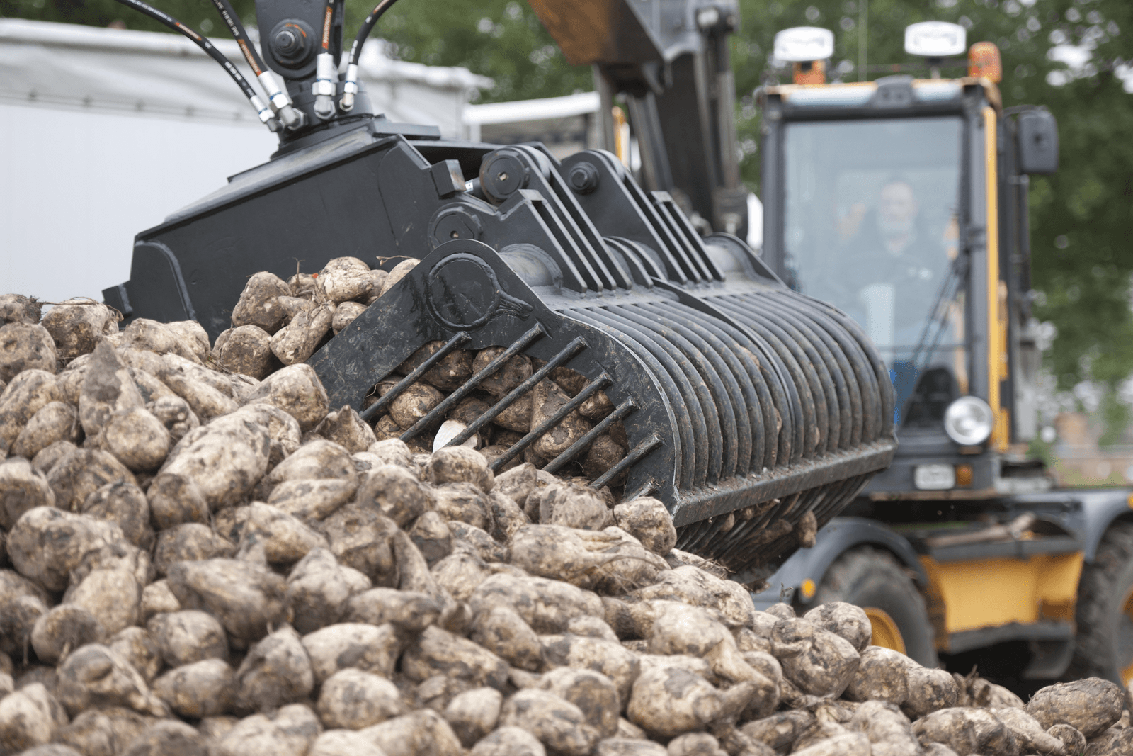 Foto: Mark Pasveer