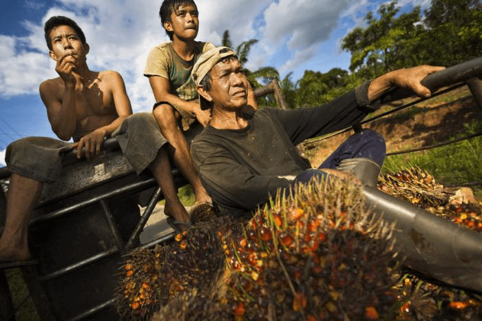 <em>Foto: Oxfam Novib</em>